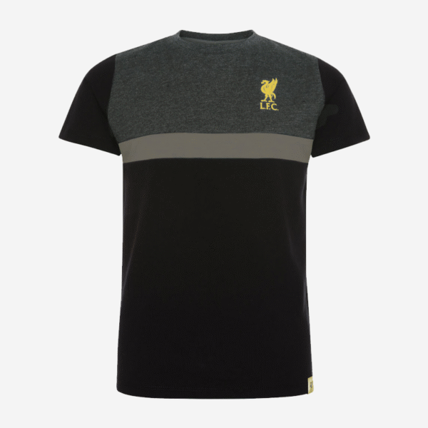 Liverpool FC Panel T-Shirt Junior 5–6 Yrs Official Licensed